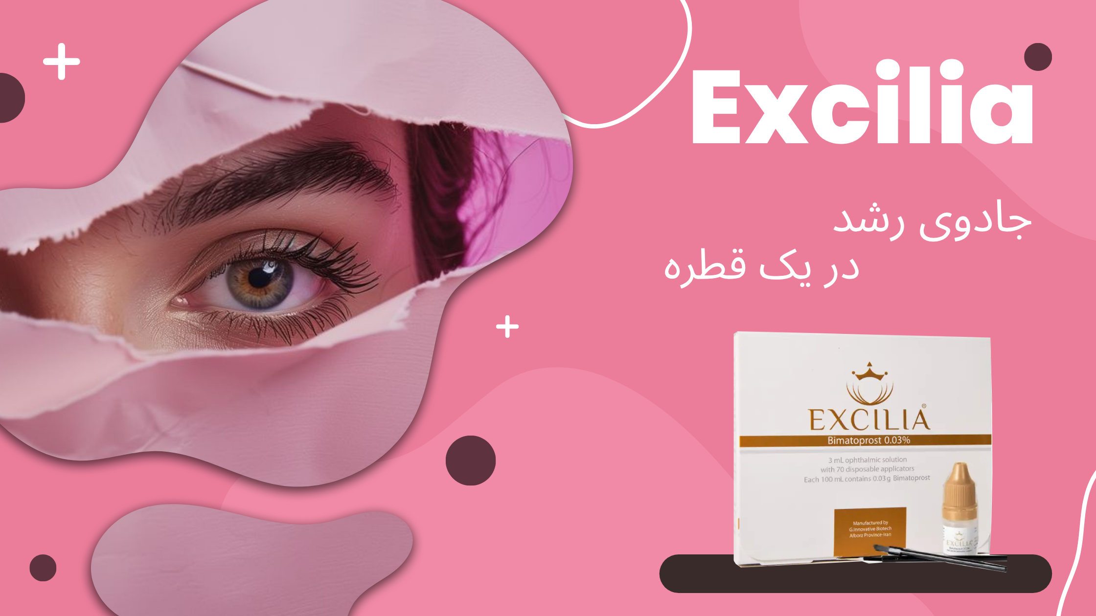 اکسیلیا