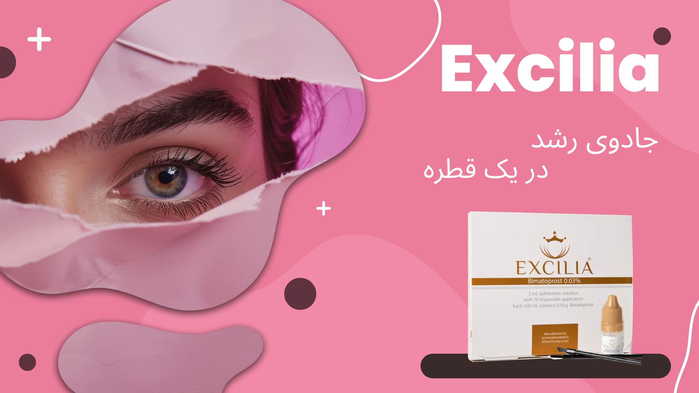 اکسیلیا